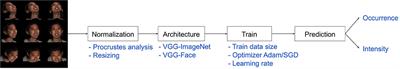 Systematic Evaluation of Design Choices for Deep Facial Action Coding Across Pose